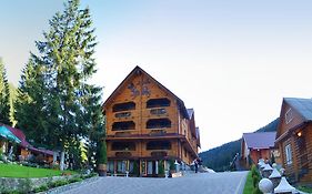 Арніка